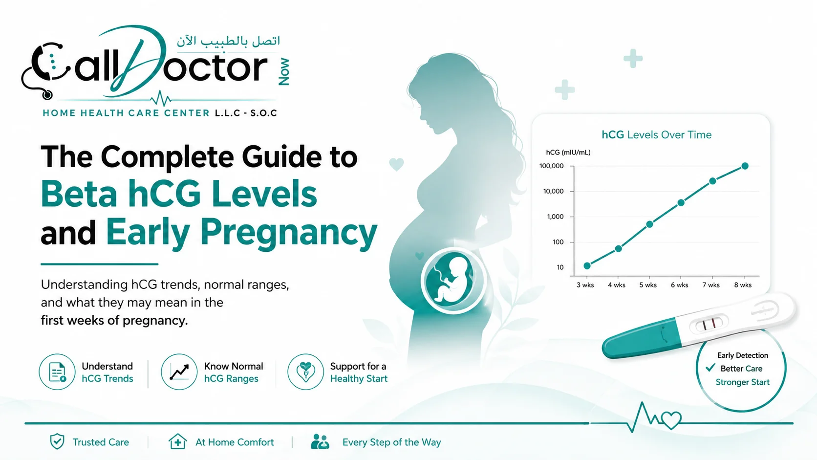 Beta hCG Levels and Early Pregnancy